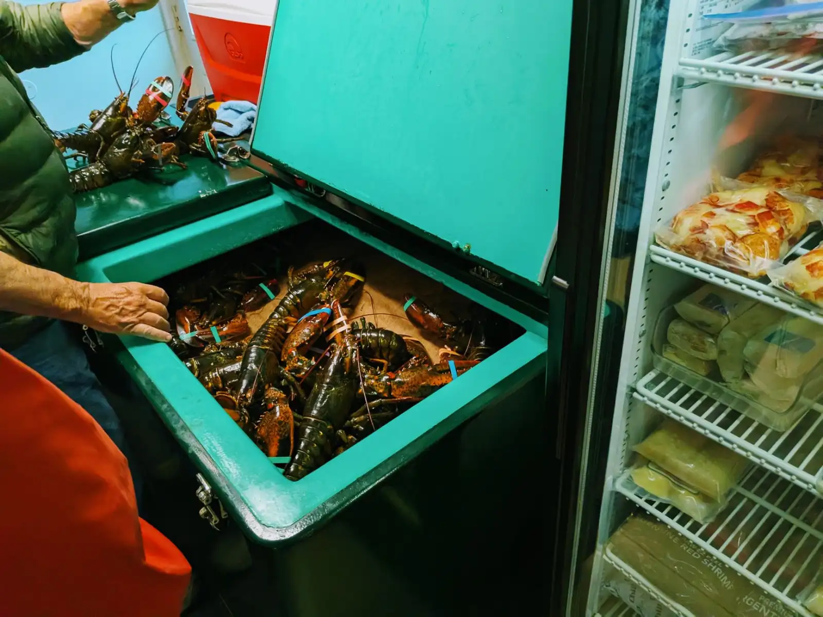 成都餐饮企业食材配送方案对比：鲜行配与传统供应链模式差异
